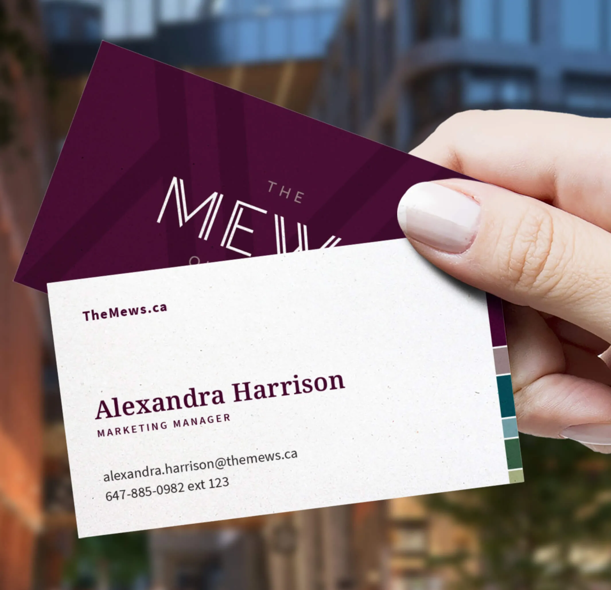 Business card for Alexandra Harrison, Marketing Manager at The Mews.